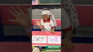💦✨ Wet or Dry? – Learning by Doing | Little Illusions Preschool ✨💦