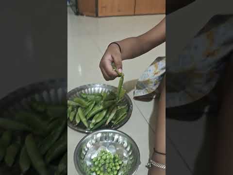Matar lakar de do isko or #shorts #ytshorts #anaya #comedy