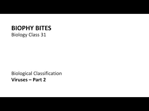 Biology Class 31 - Viruses - Part 2