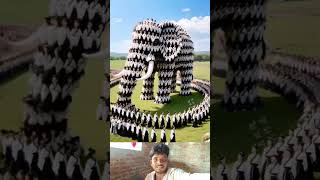 Ai royal magic #shorts #trending #react #magic #reaction