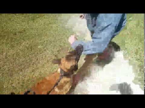 Rudy Bitework 1