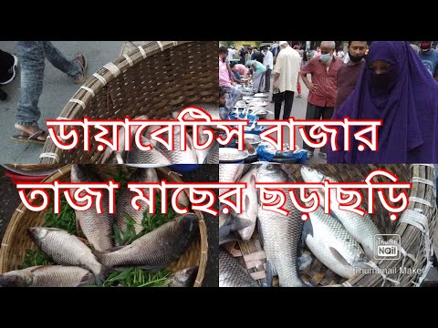 ডায়াবেটিস বাজার A Famous Fish Market-Diabetes Bazaar