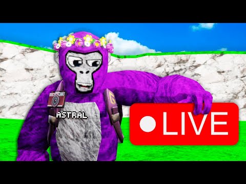 🔴ONLY UP LIVE 🔴 JOIN! #gorillatag