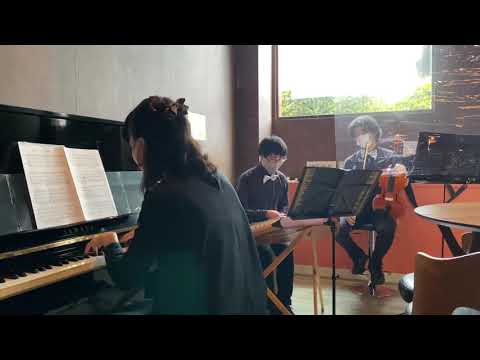 Sally Gardens mini Concert