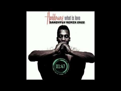 Haddaway What Is Love SandyFly2k22 Remix