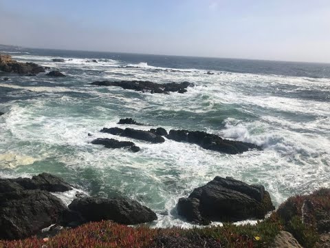 Road Trip, to Fort Bragg, CA