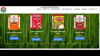 Web development service to Balaji Agrotech Industries