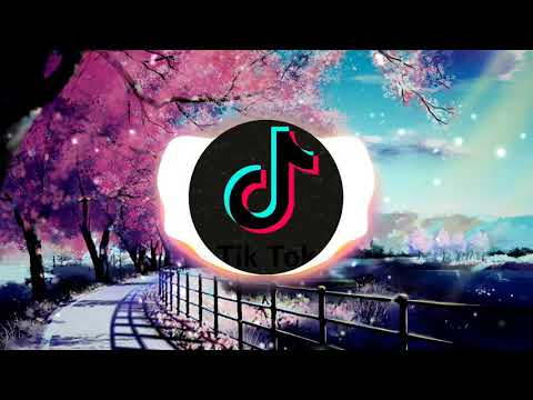 Kimi No Toriko Tiktok Viral Remix 2020