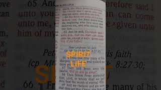#bible #truth #life #light #scripturetruth