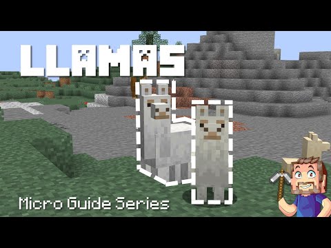 Llamas - Minecraft Micro Guide