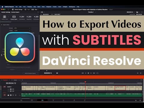 How to Export Videos with Subtitles in DaVinci Resolve: How to Export Videos with Subtitles Embedded
