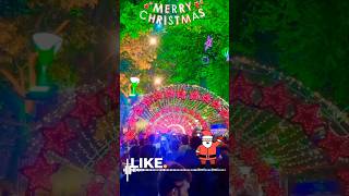 Merry Christmas WhatsApp Status 2023 | Merry Christmas wishes #kolkata #parkstreetchristmas