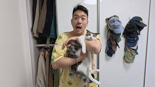 The cat I rescued from the street on a rainy day is causing so much trouble... Ha... What should ...