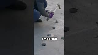 Why Japan Punches Holes in New Roads?