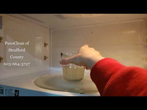 Microwave Cleaning with Lemon Water Large