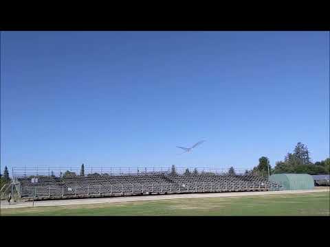 Micro Servo Driven Ornithopter