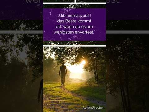 Niemals aufgeben.“#Shorts #Motivation #Sonne #Durchhalten #Inspiration