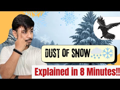 How a Crow Changed Everything 💫| Dust of Snow in AI 