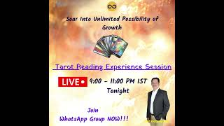 Tarot Reading Experience Session