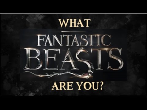 What Fantastic Beasts Character Are You?