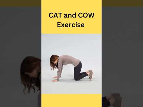 upper back stretching exercises daily #backpainrelief #neckpain #neckpain #shortvideo #viral #shorts