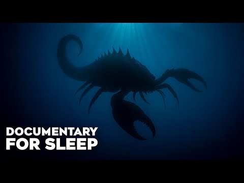 The Giant Sea Scorpions That Swarmed Prehistoric Oceans | Documentary For Sleep