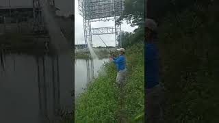 pancing jaring,cara menggunakan jaring pancing#mancingjaring #shorts #shortvideo