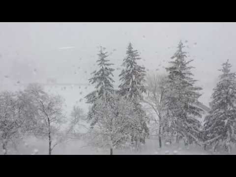 Snow Day Vlog (March 2018)