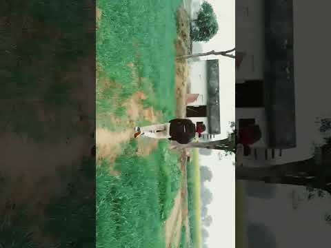 Carant steage of wheat 🌾#trending #agriculture