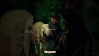 #why are you so #excited 😱17 #june #bakraeid #shorts #short #viralvideo #viralshort ❤️