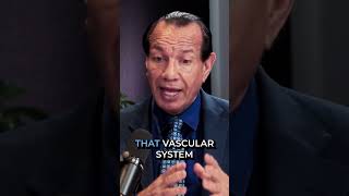 Hyperbaric Oxygen Therapy for Brain and Nerve Healing