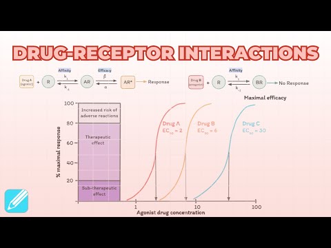 Drug-Receptor Interactions: Affinity, Efficacy, CRCs & Antagonism