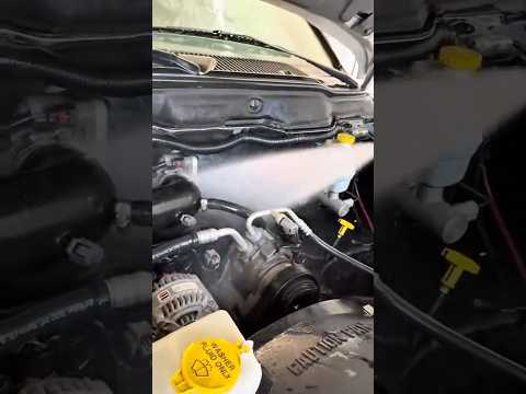 How To Clean Your Engine Bay #shorts  #mechanic #cleaning #enginecleaner# #automotive #review