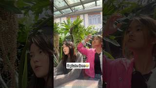 Subscribe for more 🤣 #funnyshorts #nepali