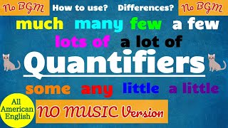 QUANTIFIERS in English (No Background Music Version) | SOME or ANY? MUCH or MANY? | English Grammar