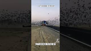 Lets Back To The Sky(#thecontent)