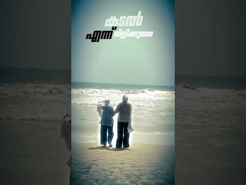 കടൽ 🌊 #editingvideo #editor #vlog #malayalam #love #peaceful #minivlog #2025shorts