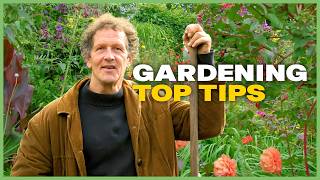 Discovering A Plant Expert's Secret To A Perfect Backyard
