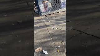 TRAVELING AMERICA USA 🇺🇸 #travel #usa #trash #street #visitamerica