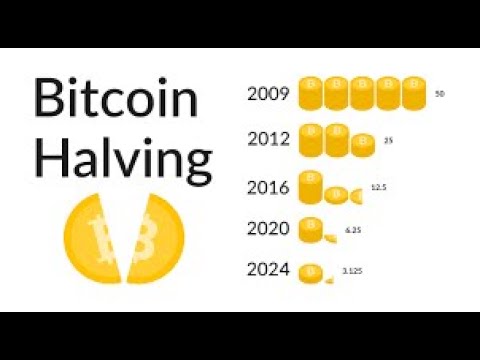 Bitcoin 2024: The Halving Phenomenon