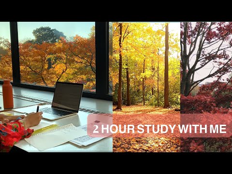 2 HOURS Study with me|Relaxing Autumn Day| Background noise|  Nature Sounds| Mindful Studying