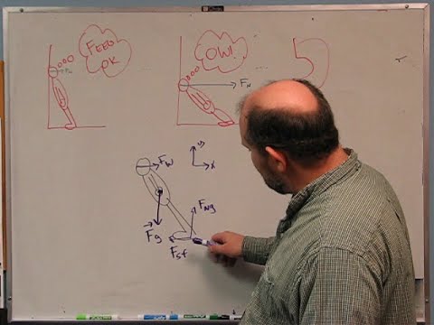 Foundations of Physics: Springs & Torque