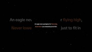 Fly High, Never Settle: Embrace Your Standards