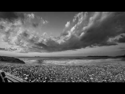 BEETHOVEN: String Quartet, Op. 18 No. 1 in F major (Adagio affettuoso ed appassionato)