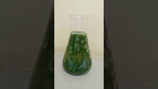 Green synthesis of silver Nanoparticles #nanoparticles #bryophyllum #greensynthesis #silverNP