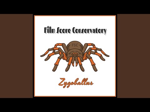 Zygoballus