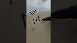 "Aim" brand name logo design #logo #logomark #graphicdesign