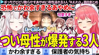 [Interesting Compilation] The lonely and timid Ayame is so cute that her maternal instincts explo...