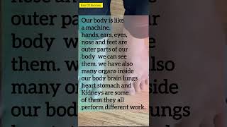 Human Outer And Inner Body Parts / Science Related videos/#shorts #shortvideo #education