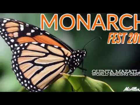 Monarch Fest at Quinta Mazatlán World Birding Center